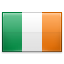 Irish Flag