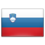 Slovenian Flag