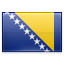 Bosnian Flag